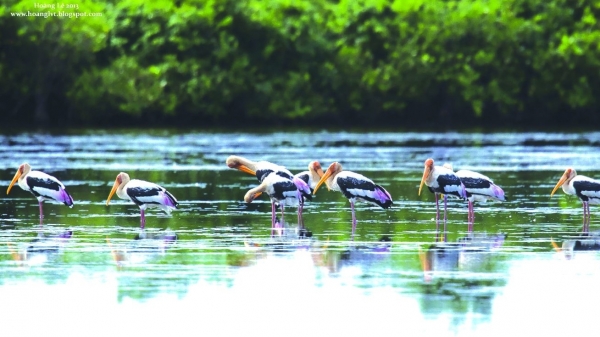 Đề xuất Vườn quốc gia Xuân Thủy trở thành Vườn Di sản ASEAN