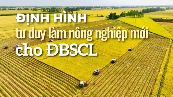 Định hình tư duy làm nông nghiệp mới cho ĐBSCL