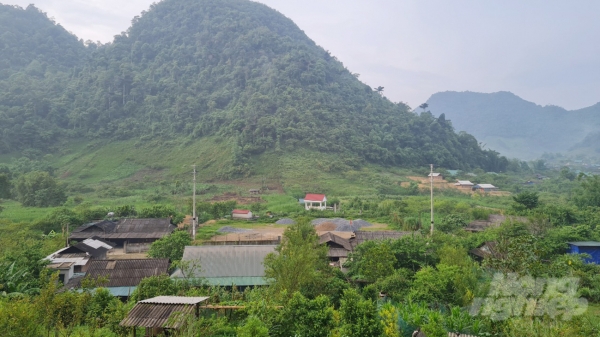 Kế hoạch giao đất, giao rừng tại Nghệ An chậm tiến độ