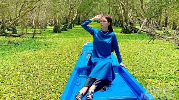 Chiêm ngưỡng rừng tràm đẹp nhất Việt Nam mùa nước nổi