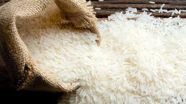 Vietnam rice exports exceeded the 4 billion USD mark for the first time