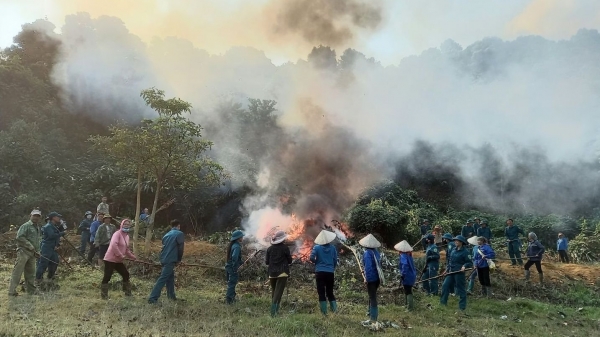 Chủ động triển khai các biện pháp phòng, chống cháy rừng