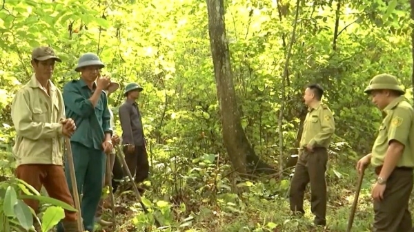 Chi trả dịch vụ môi trường rừng nâng cao trách nhiệm bảo vệ, phát triển rừng