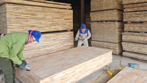 Hiệp định VPA/FLEGT là bệ phóng đưa ngành gỗ Nghệ An bay cao