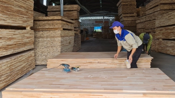 EUDR - Cơ hội và thách thức cho ngành công nghiệp chế biến gỗ