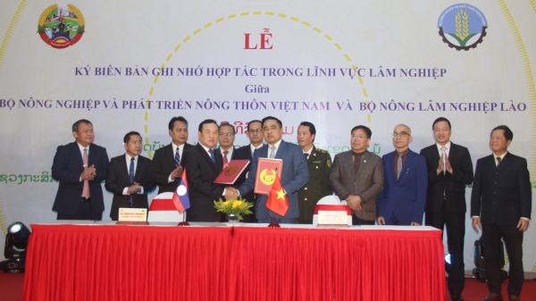 Việt Nam - Lào tăng cường phối hợp trong lĩnh vực lâm nghiệp
