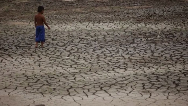 Brazilian farmers slow fertilizer buys as drought dampens corn-planting plans
