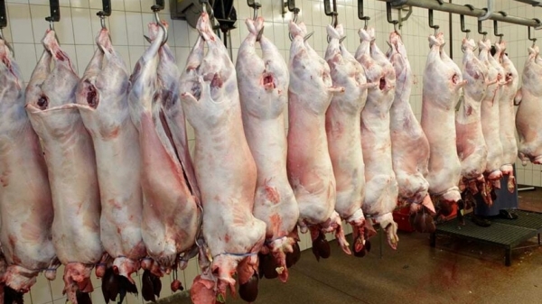USDA wins new swine inspection system lawsuit