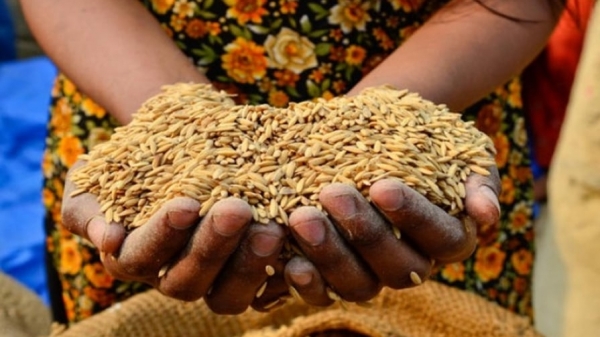 FAO urges action on food security and climate