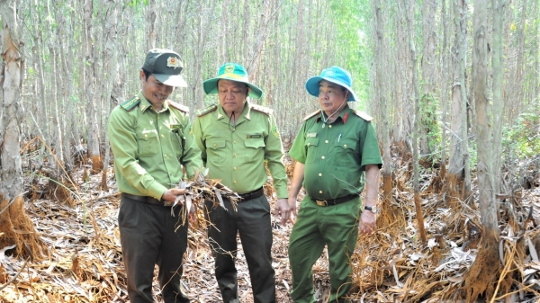 Kiên Giang bơm bổ sung hơn 2,5 triệu m3 nước vào rừng để phòng chống cháy