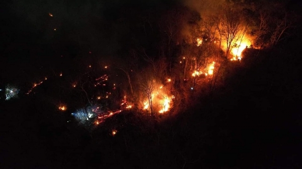 Cháy hơn 3.000m2 rừng tại núi Dinh