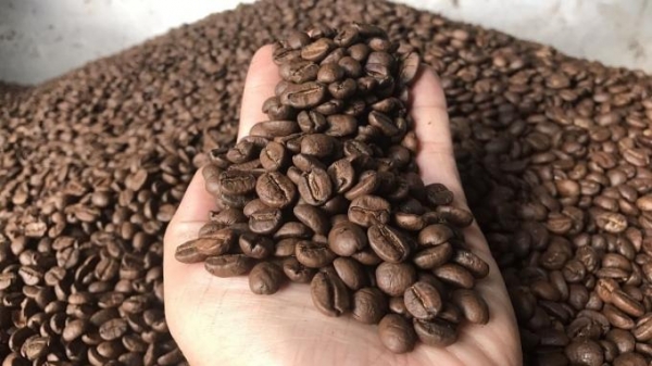 Giá nông sản hôm nay 15/7: Giá cà phê và tiêu giảm
