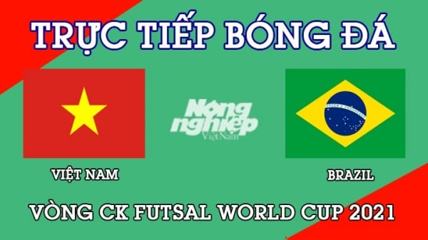 Trực tiếp bóng đá Việt Nam vs Brazil tại Vòng CK Futsal World Cup 2021