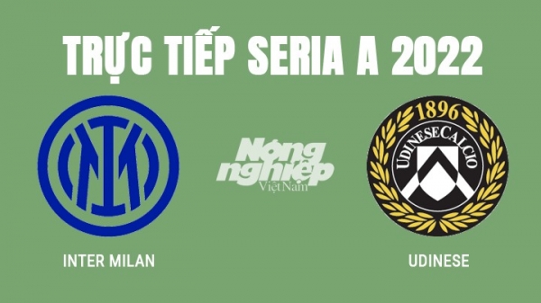 Trực tiếp bóng đá Inter vs Udinese trên ON SPORT +