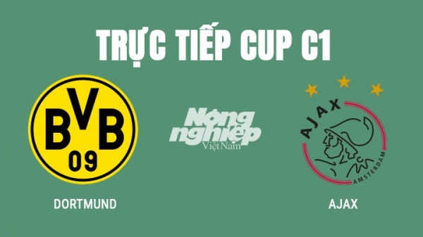 Trực tiếp bóng đá Dortmund vs Ajax giải Cup C1 hôm nay 4/11