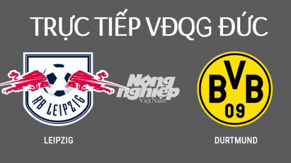 Trực tiếp bóng đá RB Leipzig vs Dortmund ngày 7/11
