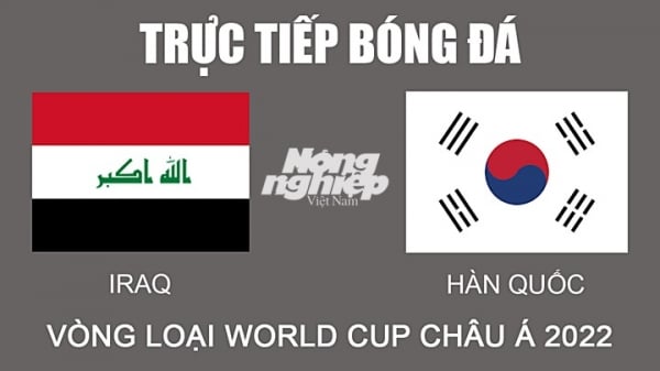 Trực tiếp bóng đá Iraq vs Hàn Quốc vòng loại World Cup châu Á ngày 16/11