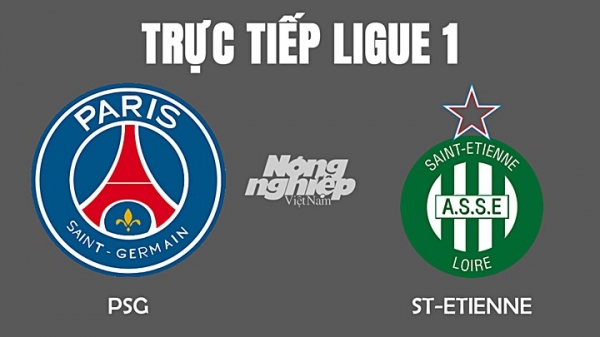 Trực tiếp bóng đá PSG vs ST-Etienne ở Ligue 1 hôm nay 28/11