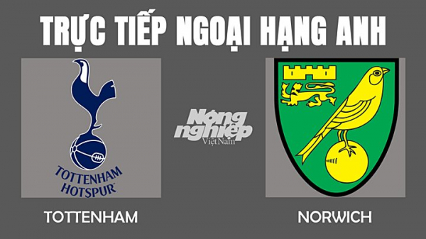 Trực tiếp bóng đá Tottenham vs Norwich tại Ngoại hạng Anh hôm nay 5/12