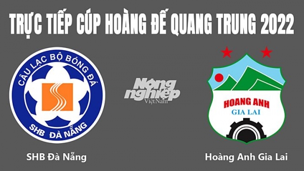 Trực tiếp Đà Nẵng vs HAGL giải Cúp Hoàng đế Quang Trung 2022 hôm nay 7/1