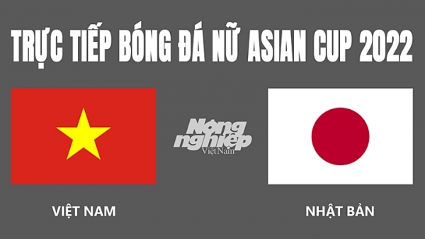Trực tiếp Việt Nam vs Nhật Bản tại Bóng đá nữ Asian Cup hôm nay 24/1