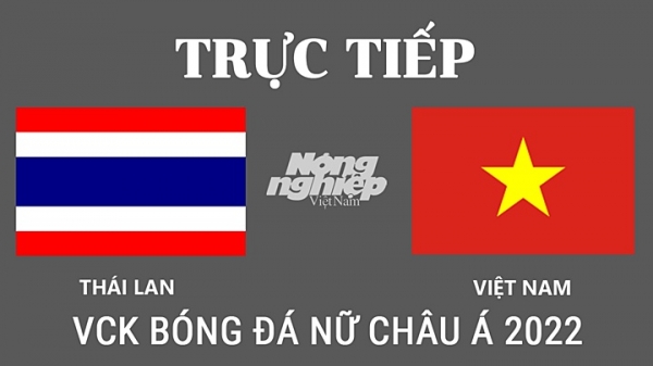 Trực tiếp Việt Nam vs Thái Lan giải bóng đá nữ Asian Cup 2022 ngày 2/2