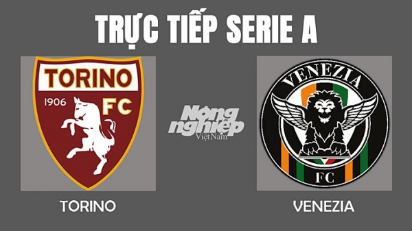 Trực tiếp Torino vs Venezia giải Serie A trên ON Sports+ hôm nay 13/2