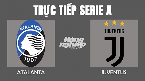Trực tiếp Atalanta vs Juventus giải Serie A trên ON Sports+ hôm nay 14/2