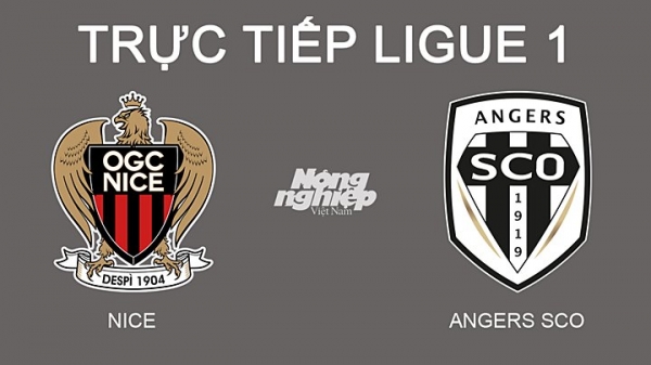 Trực tiếp Nice vs Angers giải Ligue 1 trên On Sports News hôm nay 20/2