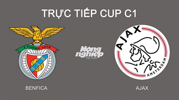 Trực tiếp Benfica vs Ajax giải CUP C1 trên FPTPlay hôm nay 24/2
