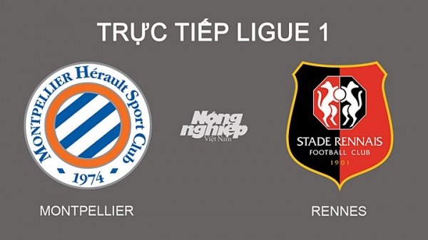 Trực tiếp Montpellier vs Rennes giải Ligue 1 trên On Sports News hôm nay 26/2