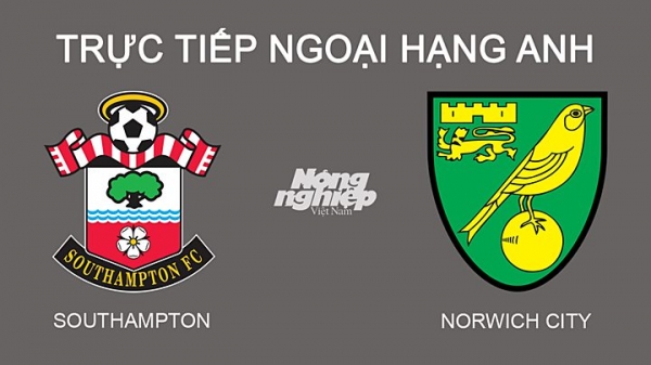 Trực tiếp Southampton vs Norwich giải Ngoại hạng Anh trên K+ SPORT 1 hôm nay 26/2
