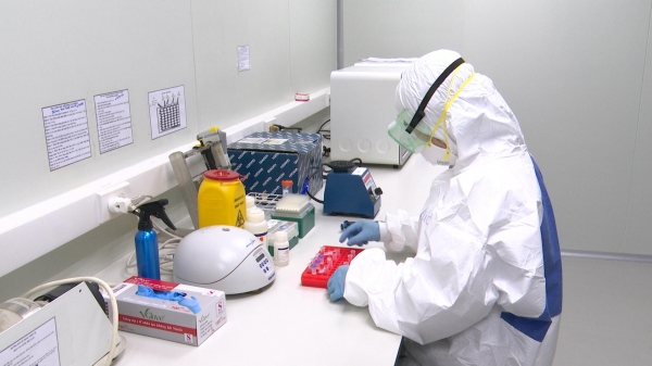 Chuẩn bị xét nghiệm Covid -19 tại 8 phòng thử nghiệm thuộc Cục Thú y