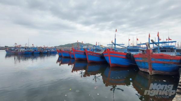 Thanh Hóa: 50% tàu cá thiếu thiết bị giám sát hành trình vẫn ra khơi