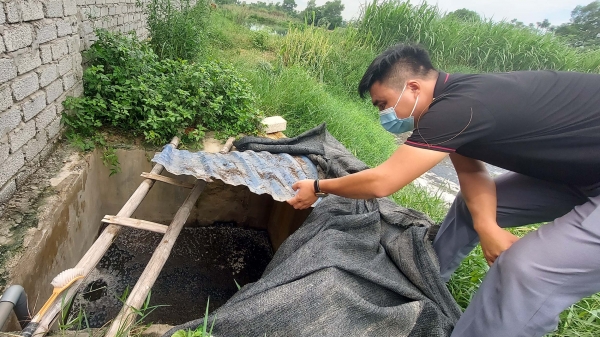 Công ty Thiên An Minh xả trực tiếp phân lợn, 'bức tử' môi trường