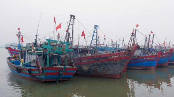 Tàu nằm bờ, ngư dân Thanh Hóa chồng chất khó khăn