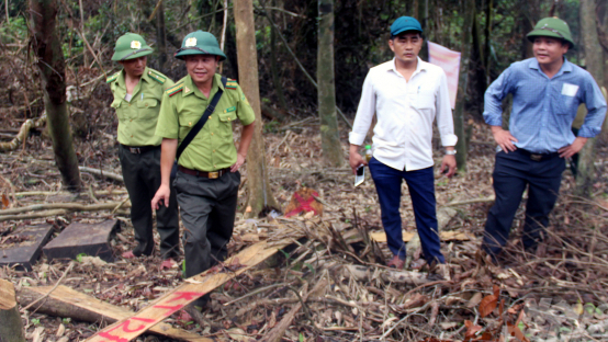 Bộ NN-PTNT đề nghị Quảng Trị xử lý nghiêm vụ phá rừng tự nhiên