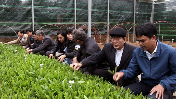 Đầu tư vườn ươm hiện đại sản xuất giống cây lâm nghiệp cho Quảng Trị