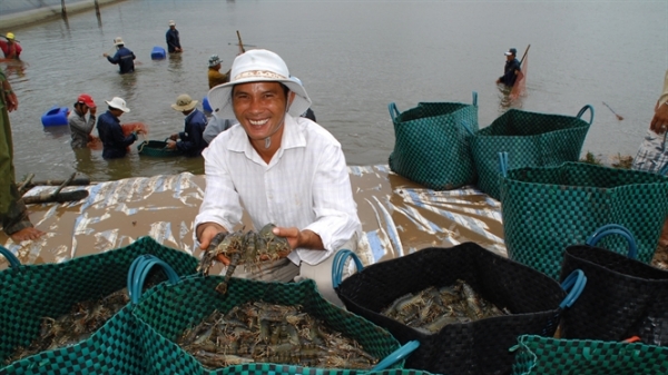 Tập đoàn tầm cỡ châu lục và trăn trở ngành thủy sản Việt Nam
