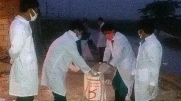 Quỳnh Lưu: Xuất hiện 2 ổ dịch cúm AH5N1
