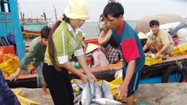Hỗ trợ tiền cho tàu cá đánh bắt gần bờ và bù giá cho hải sản xa bờ