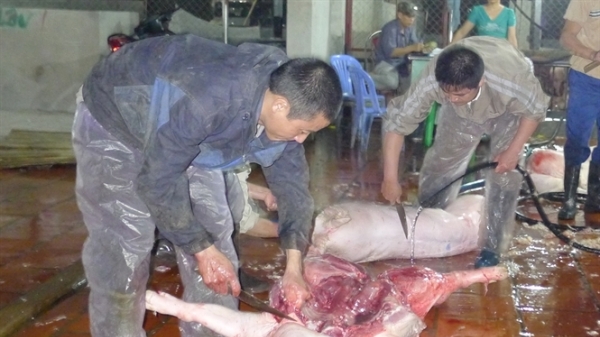 Những con số cho thấy một bức tranh 'khủng khiếp' về an toàn thực phẩm ở Quảng Nam