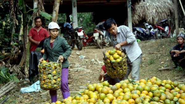 Yên Lâm thoát nghèo bền vững, số hộ khấm khá tăng thêm từng ngày