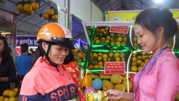 Tưng bừng Lễ hội cam và các sản phẩm nông nghiệp Hà Tĩnh lần thứ nhất