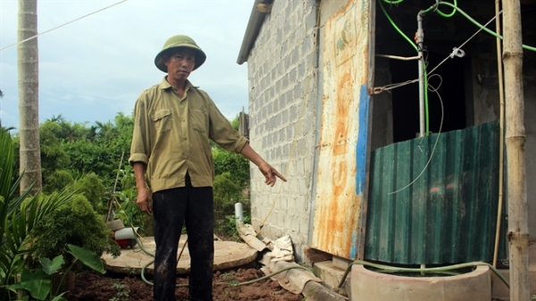 Hiệu quả của Dự án Hỗ trợ nông nghiệp các bon thấp tại Nam Định