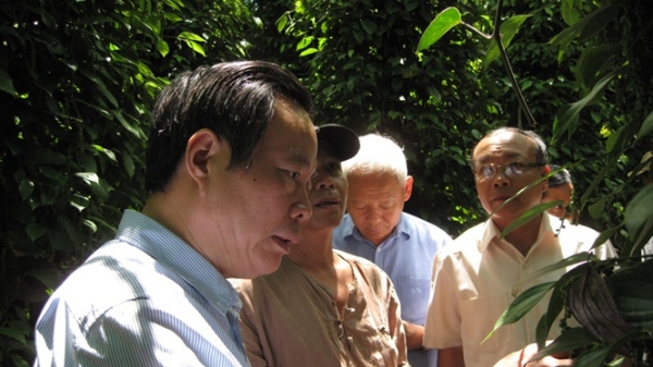 Phó chủ tịch Quốc hội thăm vườn tiêu sạch ở Gia Lai