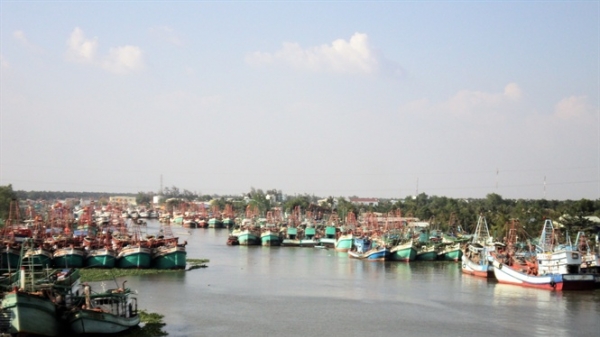 Kiên Giang: Thiếu trầm trọng lao động ngành thủy sản