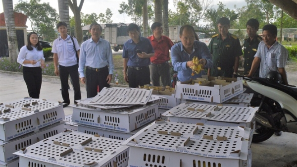 VIGOVA trao tặng 2.000 con vịt biển giống cho Biên phòng Kiên Giang