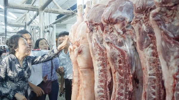Cục trưởng Cục chăn nuôi: Giá lợn sẽ rất sớm chạm mốc 40.000 đồng/kg