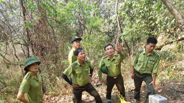 Cục Kiểm lâm kiểm tra công tác phòng cháy, chữa cháy rừng tại Điện Biên